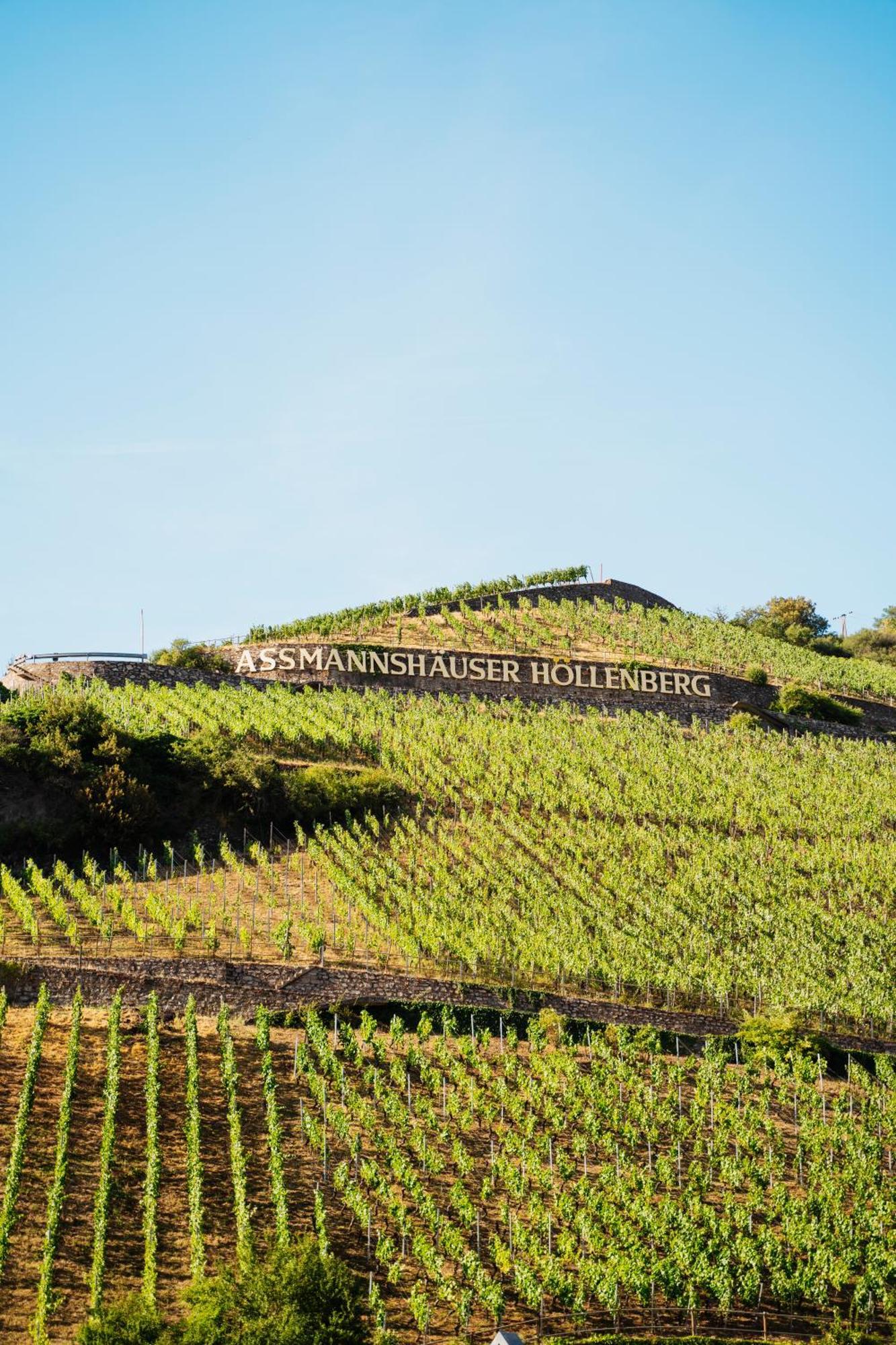 Akzent Hotel Berg'S Alte Bauernschaenke- Wellness Und Wein Ruedesheim am Rhein Exterior photo